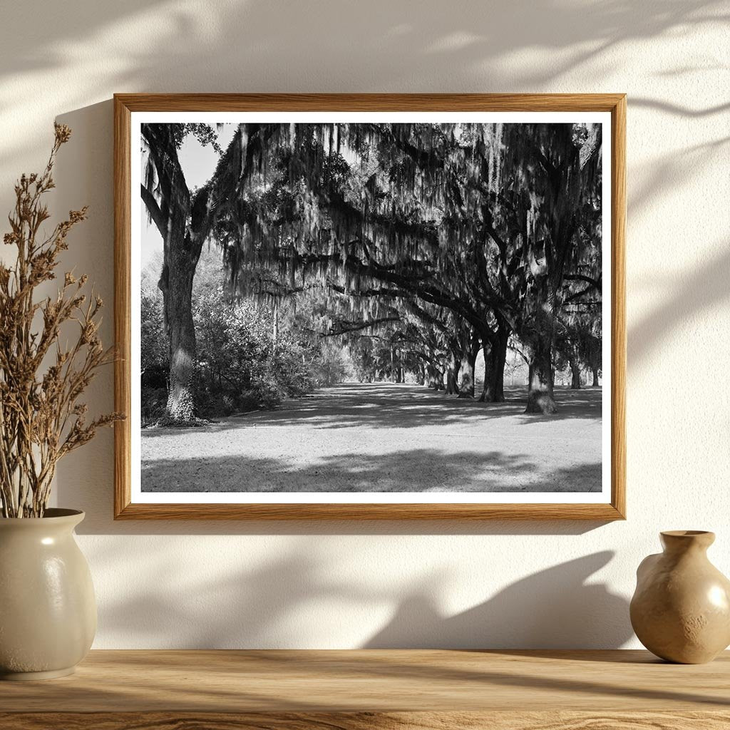 Henry Ford Estate, Savannah GA, Early 1900s Photo