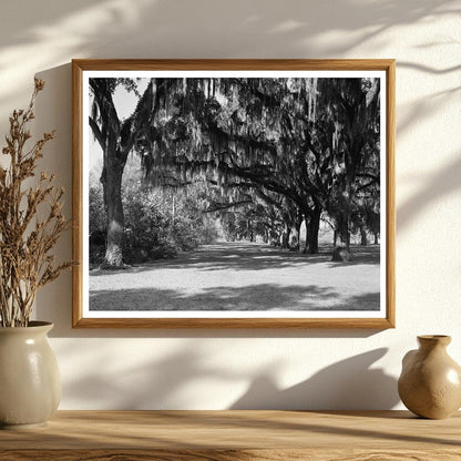 Henry Ford Estate, Savannah GA, Early 1900s Photo