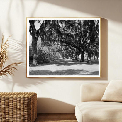 Henry Ford Estate, Savannah GA, Early 1900s Photo