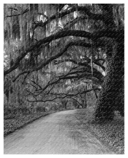 1820 Residence in Savannah, GA - Historical Architecture