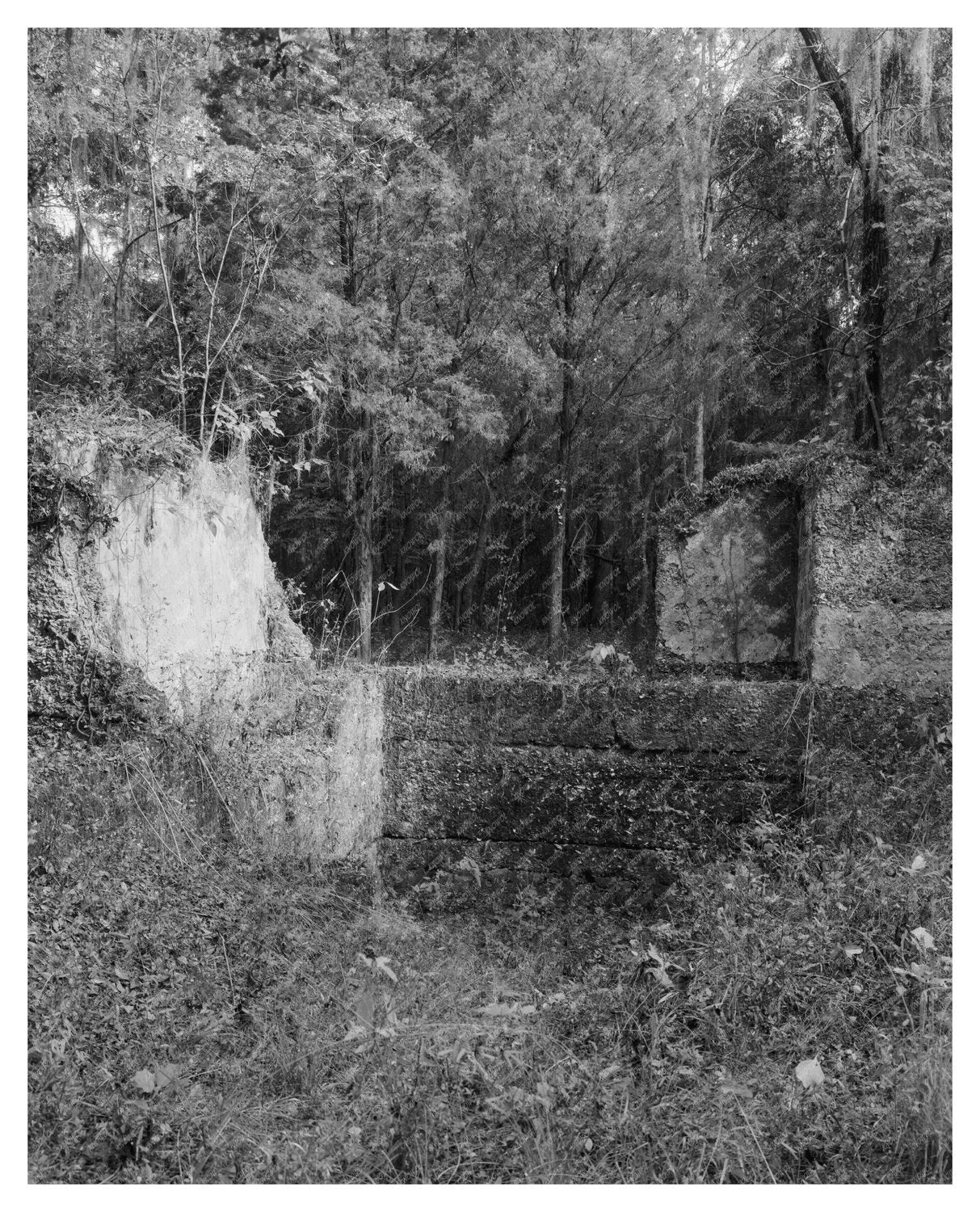 Fort Wimberly, Savannah, Georgia, 1957 Vintage Photograph