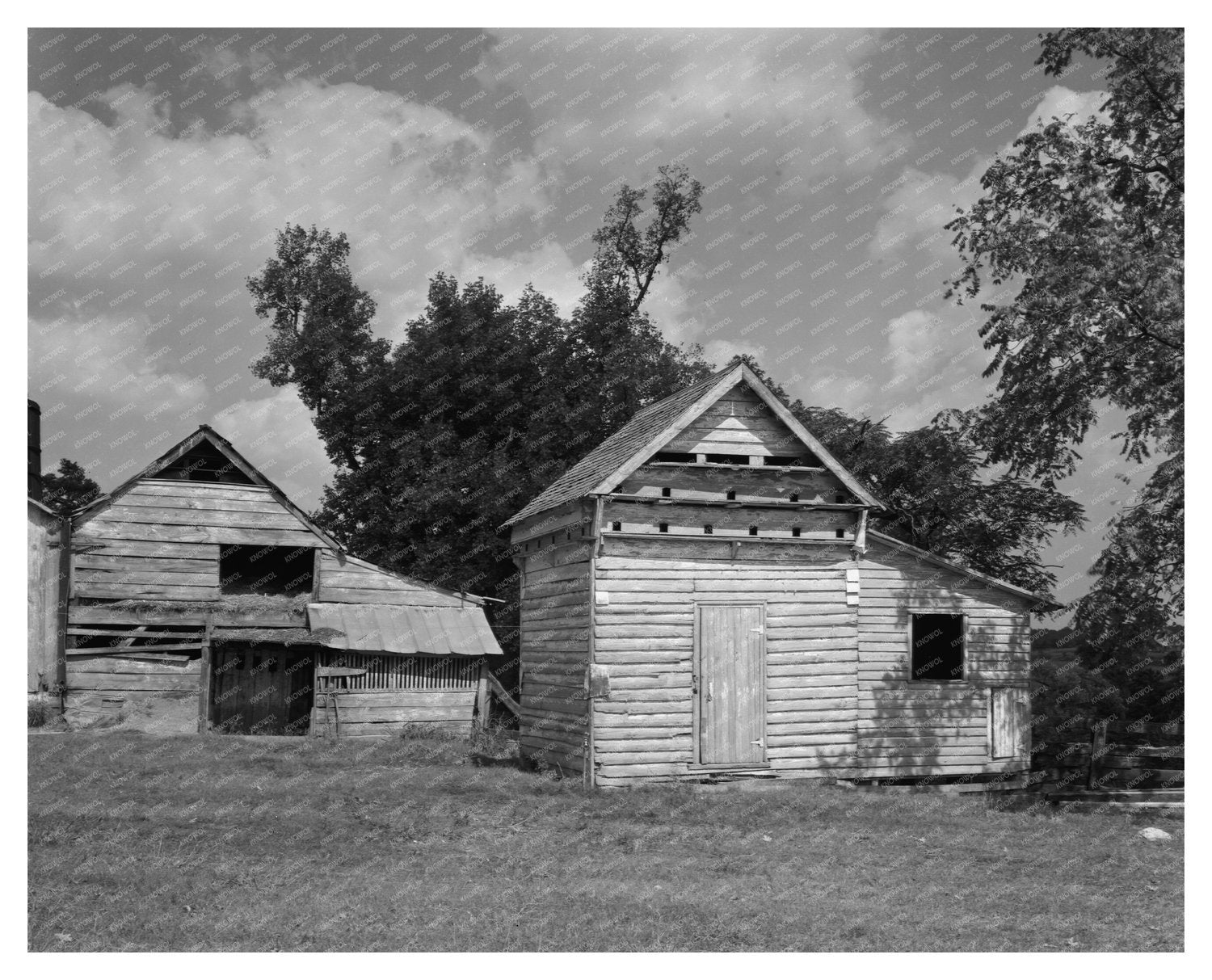 Vintage Architecture Photo, Wilkes County, Georgia, 20th Cen