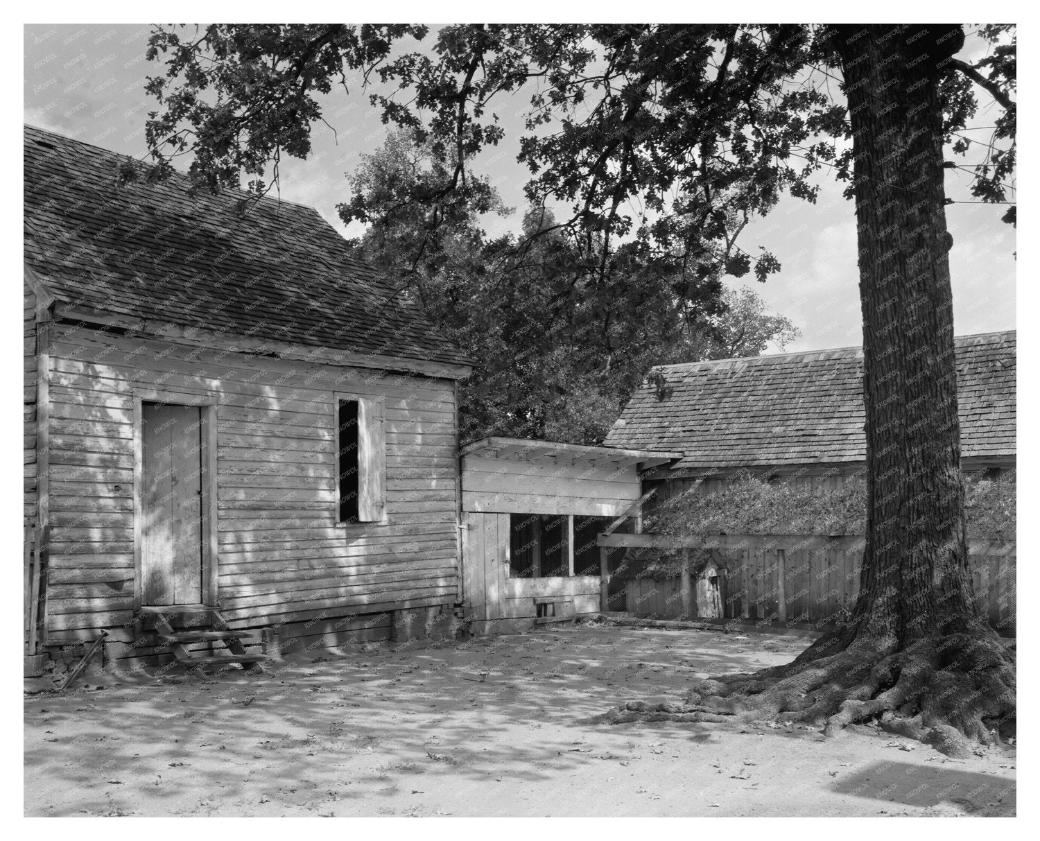 Washington GA Agricultural Facilities 1900s Photograph