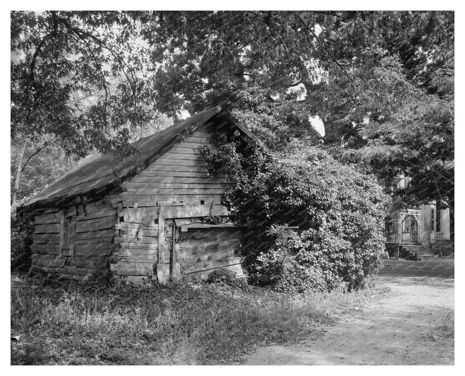 Washington, GA Vintage Architecture Photo, 1957