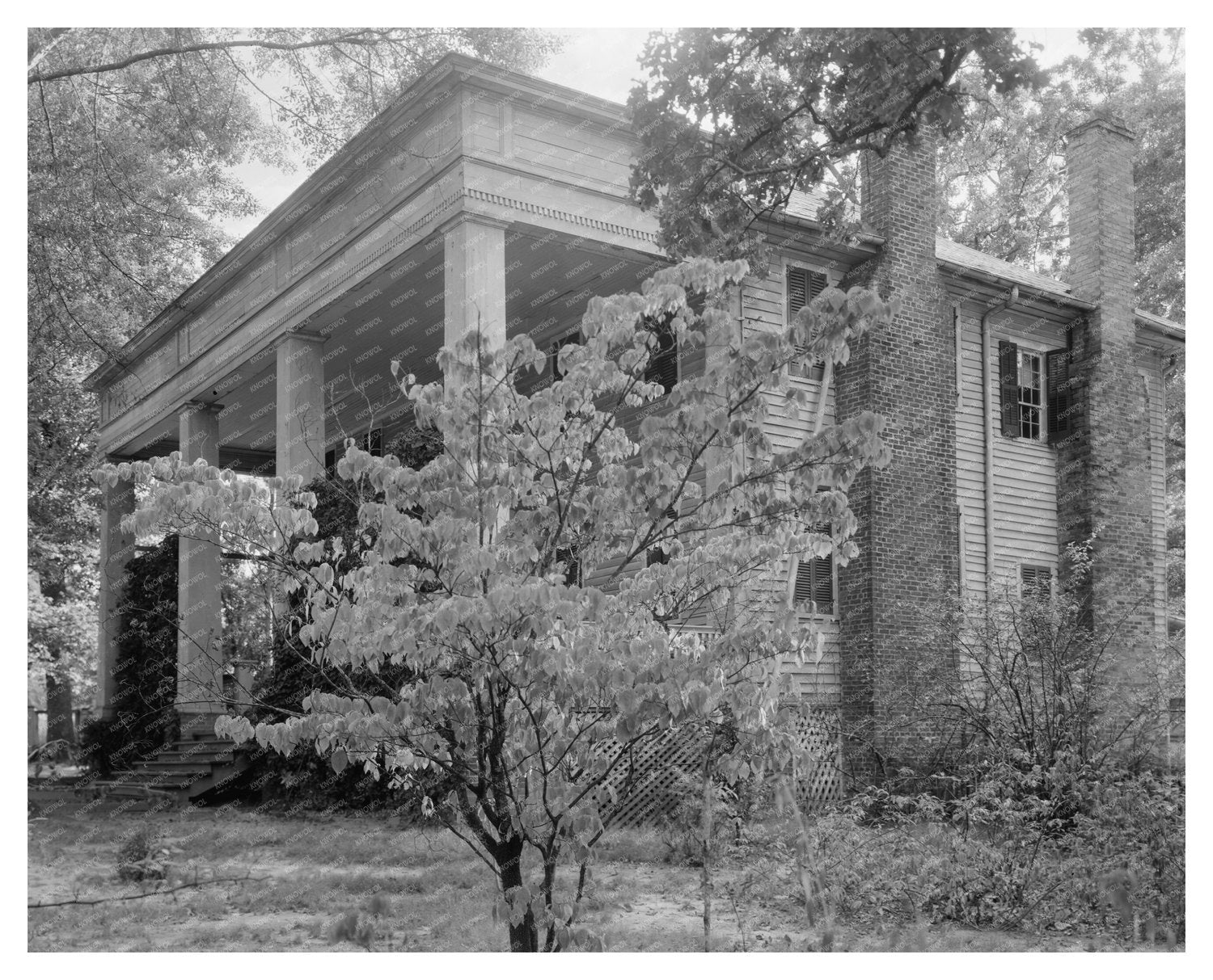 Washington, GA Vintage Architecture Photo from 1953