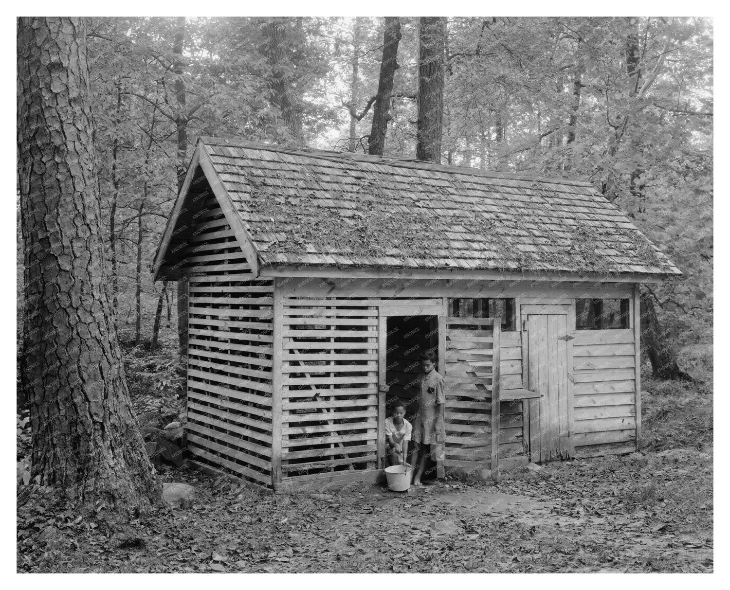 Springhouse in Washington, GA - 1957 Architectural Photo