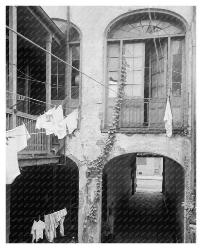 Vintage New Orleans Architecture, Louisiana 20th Century