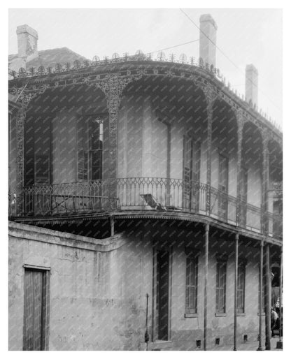 New Orleans Architecture 1953: Vintage Ironwork Photo