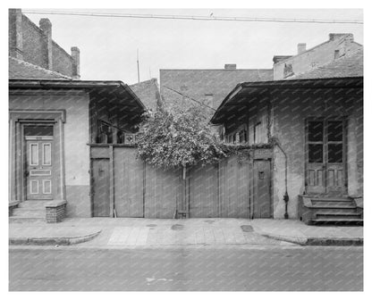 New Orleans Architecture: Vintage Doors, 1900s Louisiana