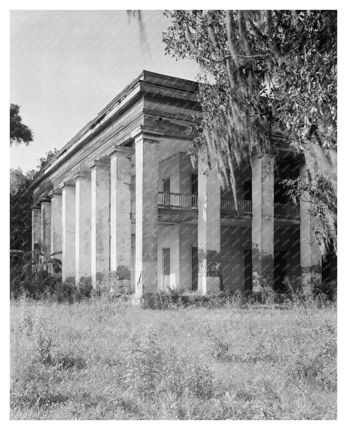 Ashland Plantation Photo, Geismar LA, 1841 History