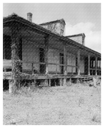 Abandoned House, Mississippi River, Louisiana, 1953