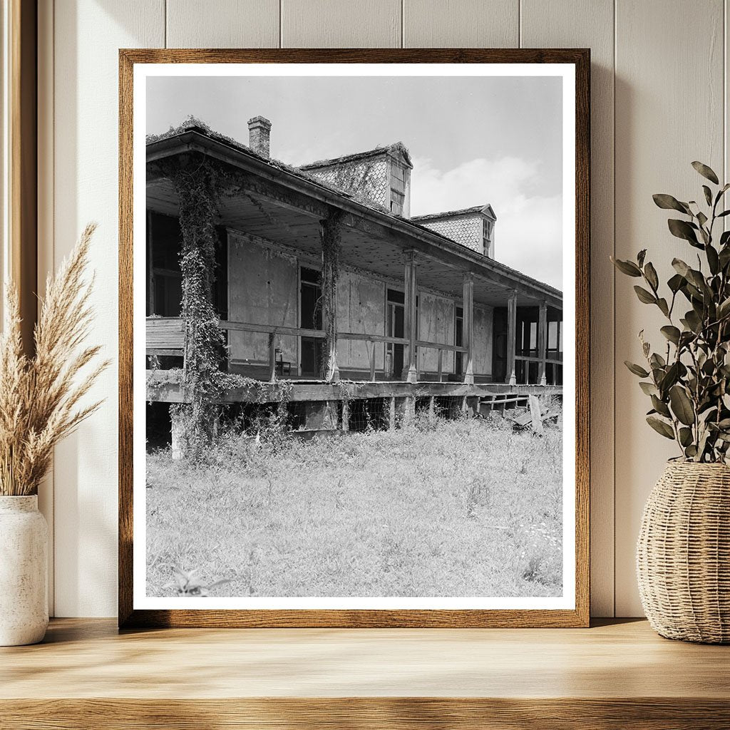 Abandoned House, Mississippi River, Louisiana, 1953