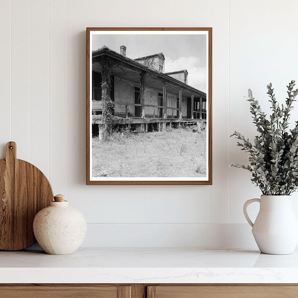 Abandoned House, Mississippi River, Louisiana, 1953