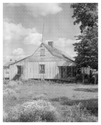 Vintage Cabins in Point Coupee, Louisiana, 20th Century
