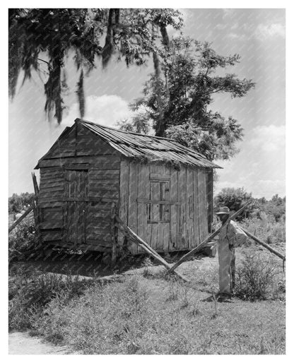 Maringouin, LA Cotton Industry History, Early 1900s