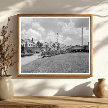 Industrial Landscape of Reserve, LA – Sugar Industry 20th Ce