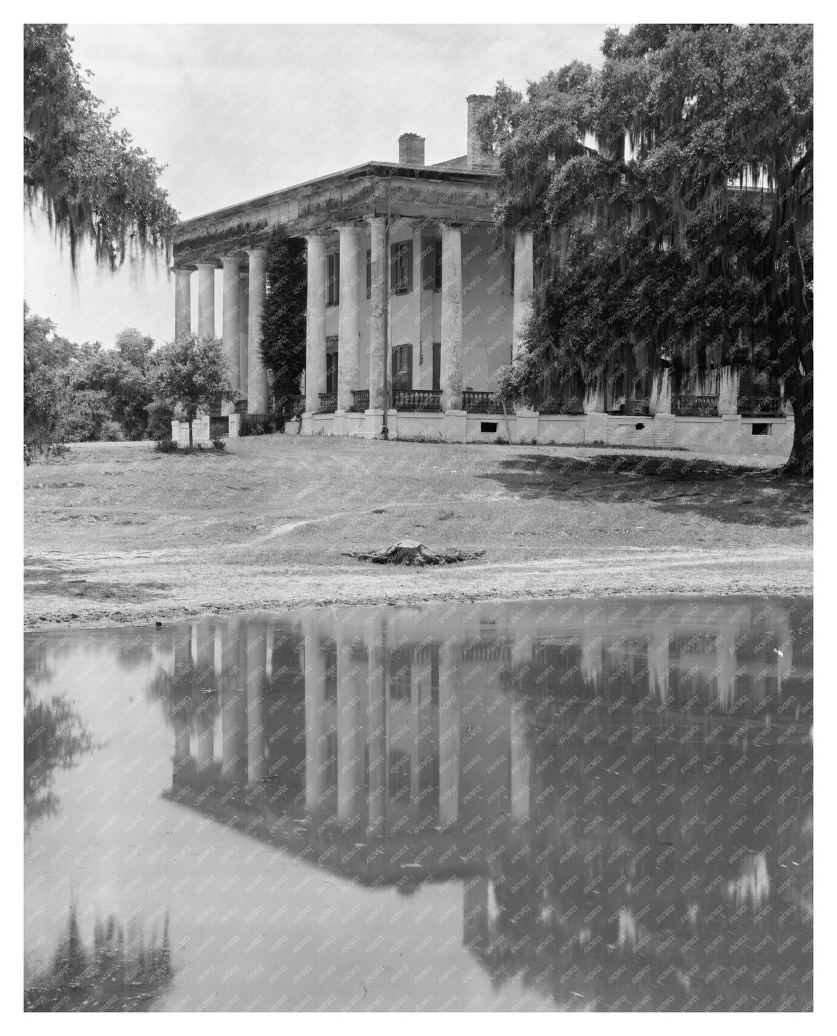 1830 Abandoned Structure in Bains, Louisiana - Historic Imag