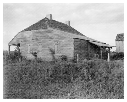 New Roads, LA Vintage Architecture Photograph, 1953