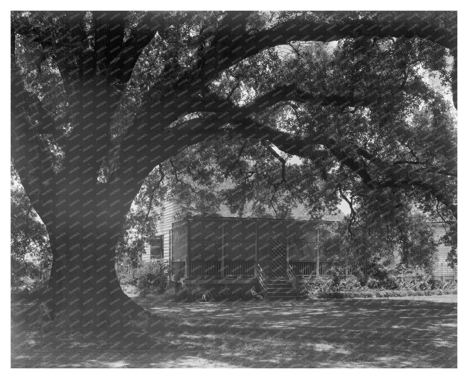 Donaldsonville, LA Vintage Home Photo, 20th Century