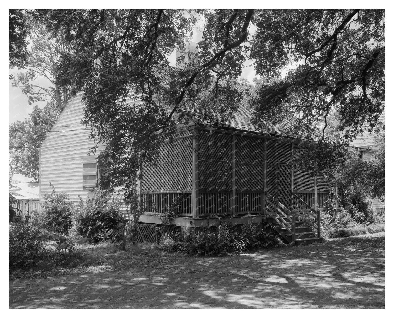Donaldsonville LA Vintage Photo from 1953