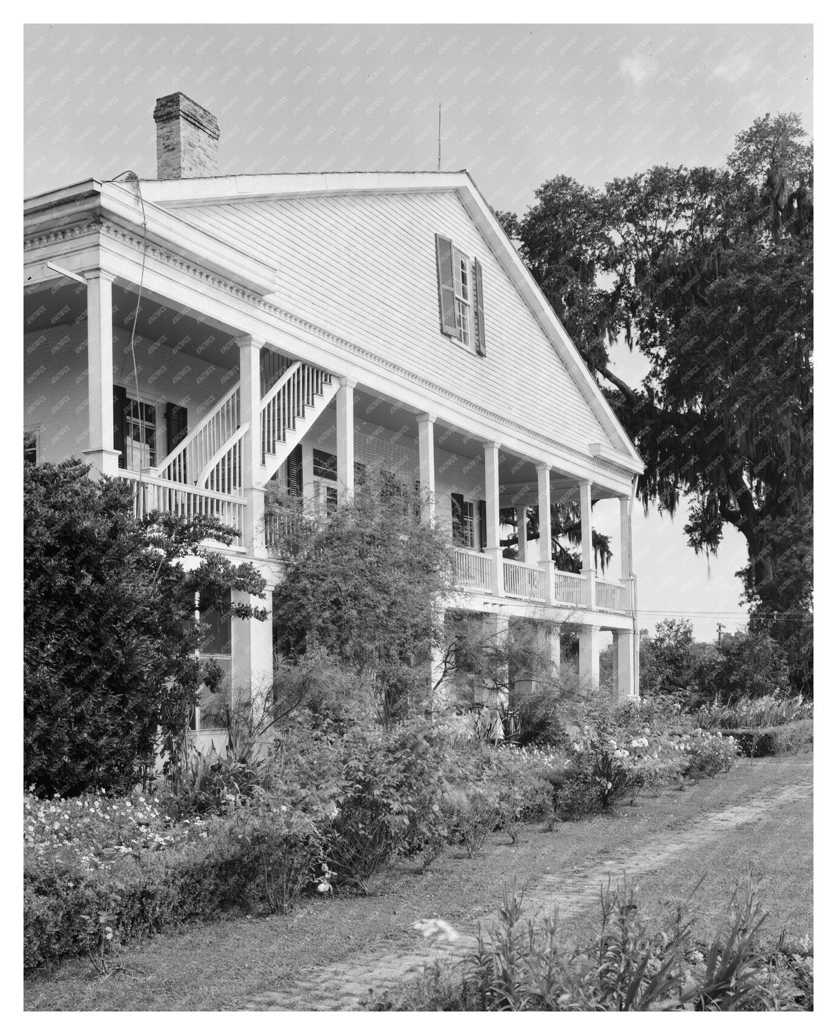 1840s Dwelling in Thibodaux, Louisiana - Historic Photograph