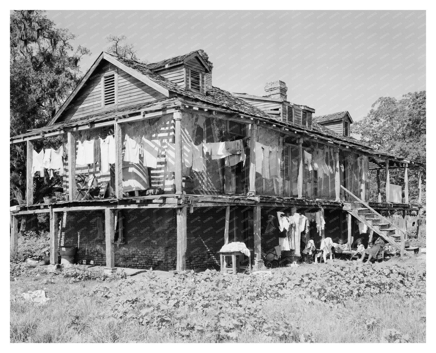 Trepagnier House, Norco LA, Early 20th Century Photo