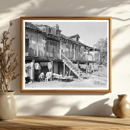 Trepagnier House in Norco, LA - Early 20th Century History