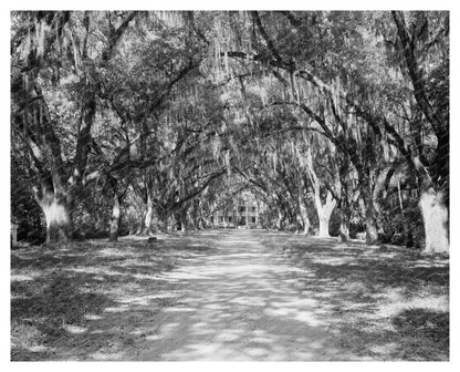 Historic Plantation in St. Francisville, LA, 1835 Photo