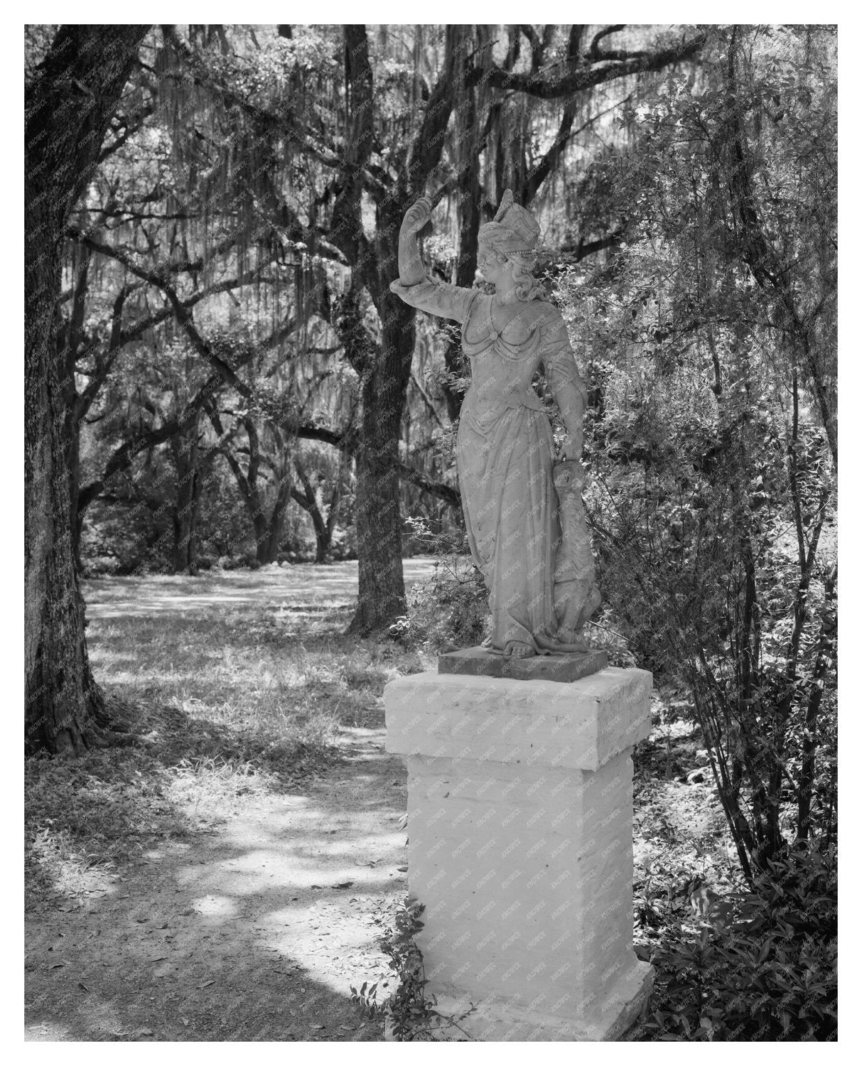 1835 Building in St. Francisville, Louisiana History