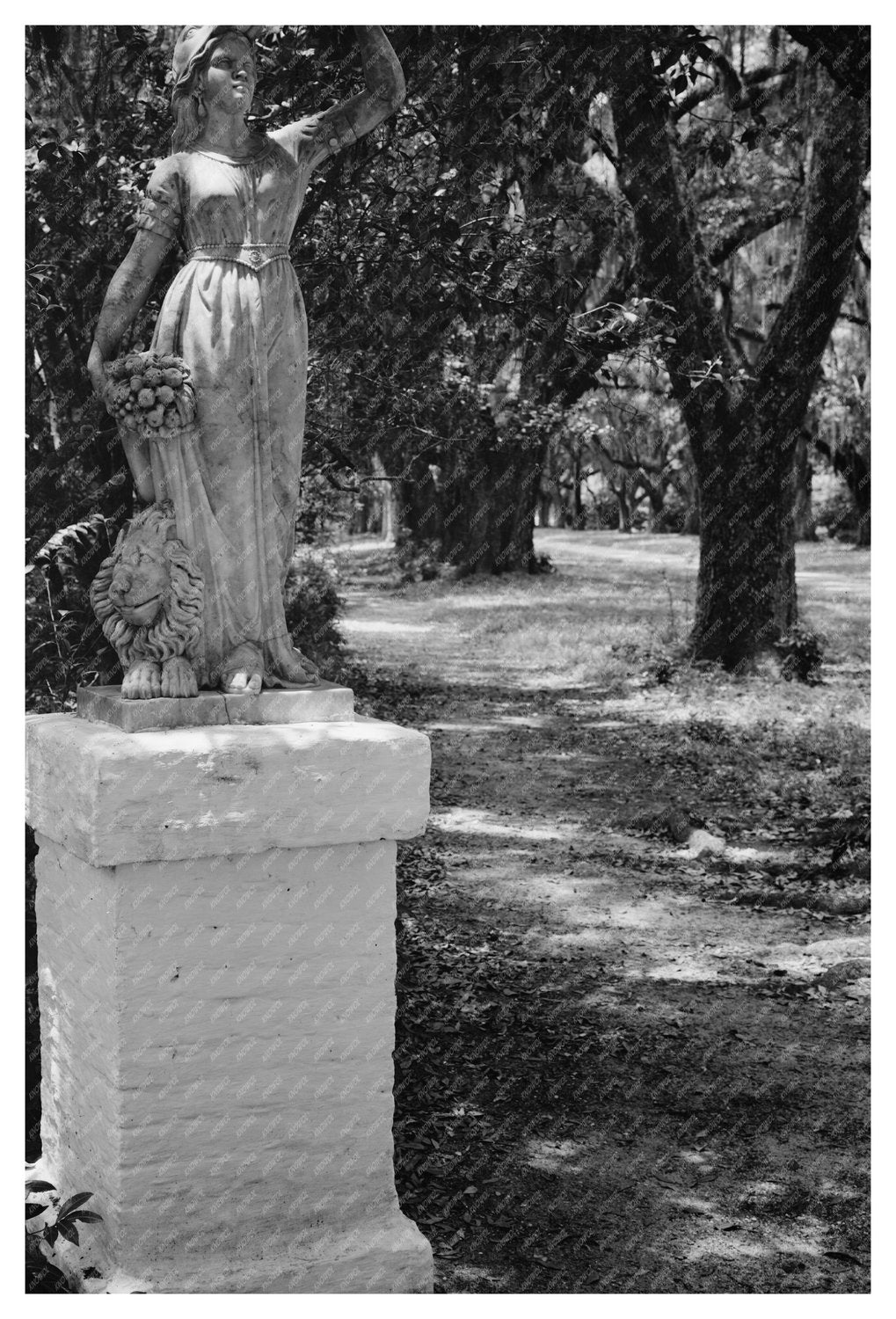 Rosedown Plantation Gardens, St. Francisville, 1938