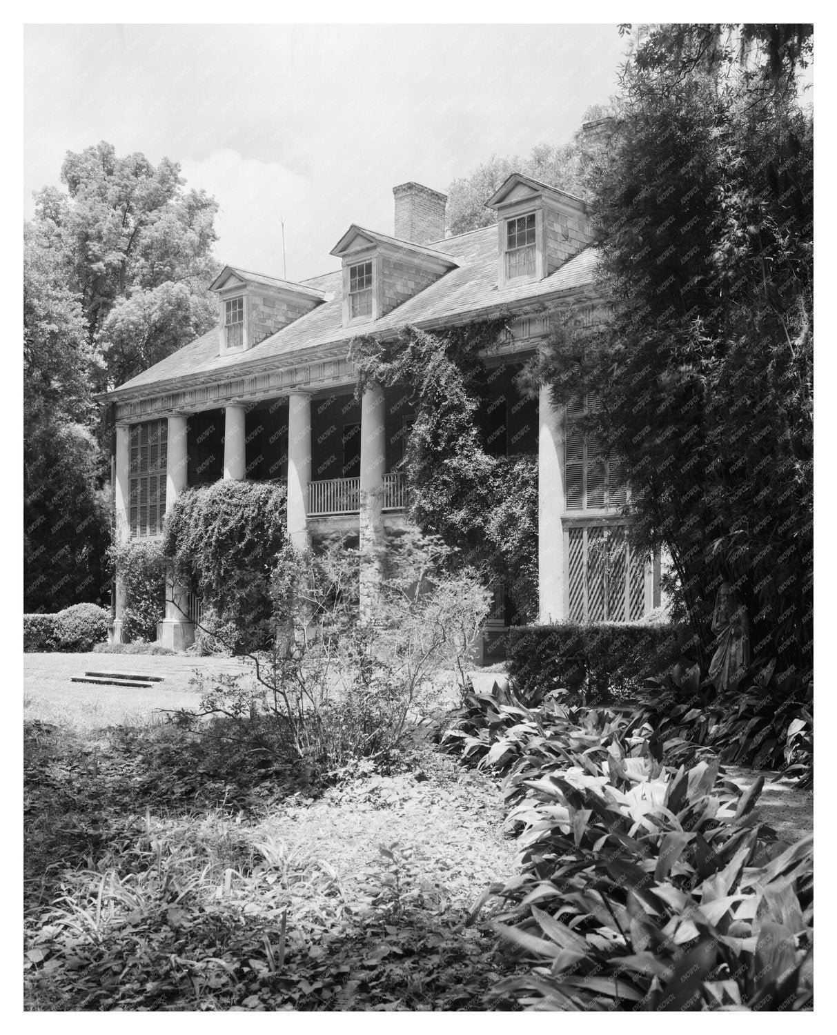 Shadows on the Teche, New Iberia LA, 1830 Vintage Photo