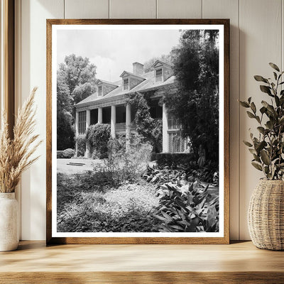 Shadows on the Teche, New Iberia LA, 1830 Vintage Photo