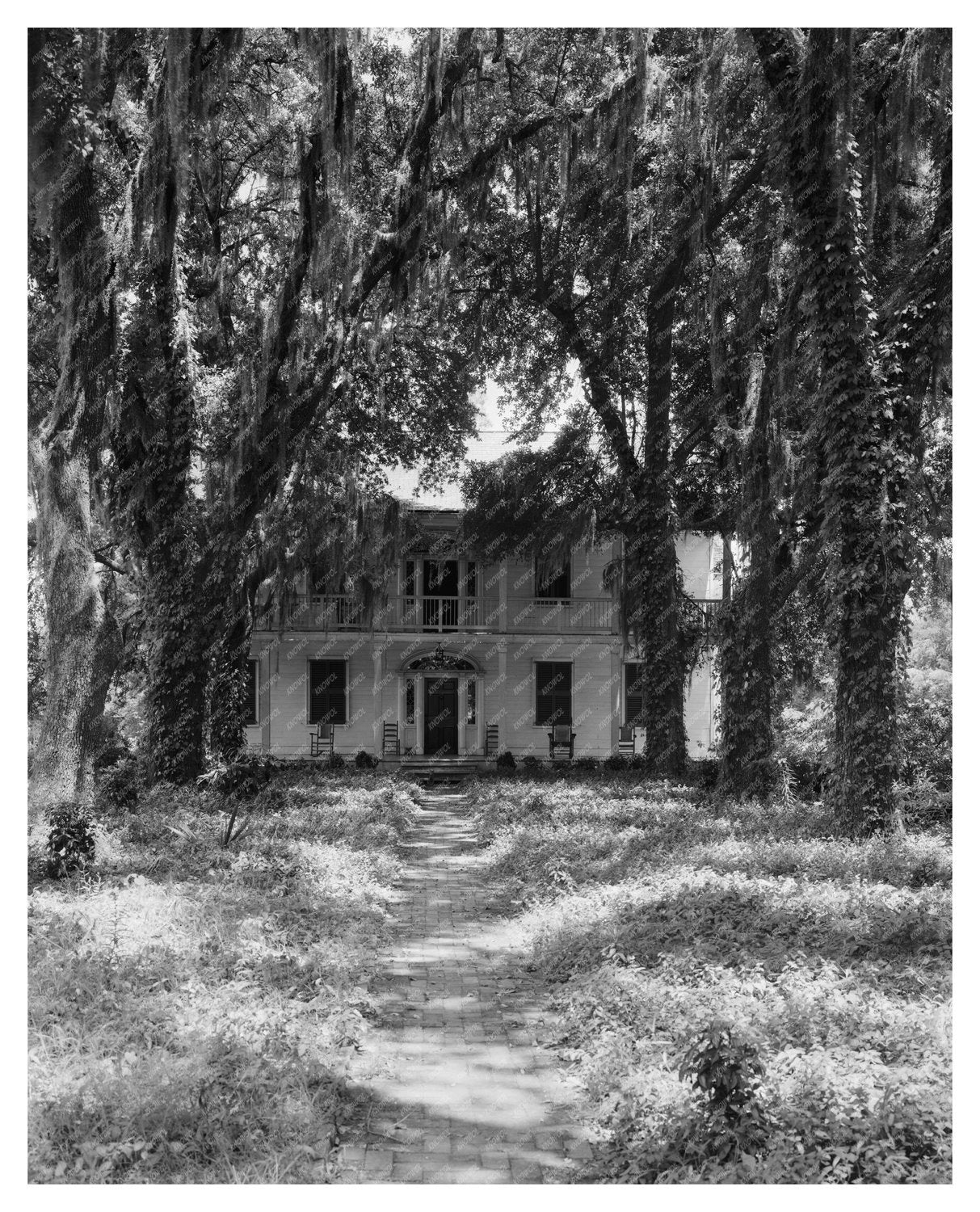 Historic Home in Bains, LA - 1820 Vintage Photograph