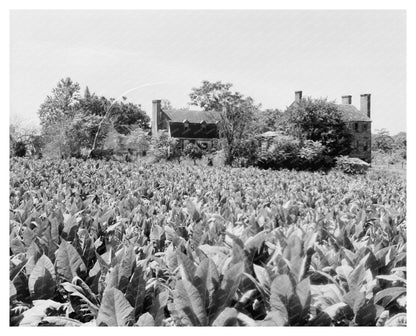 Henry Hawkins Barbour House, Port Tobacco MD, 1953