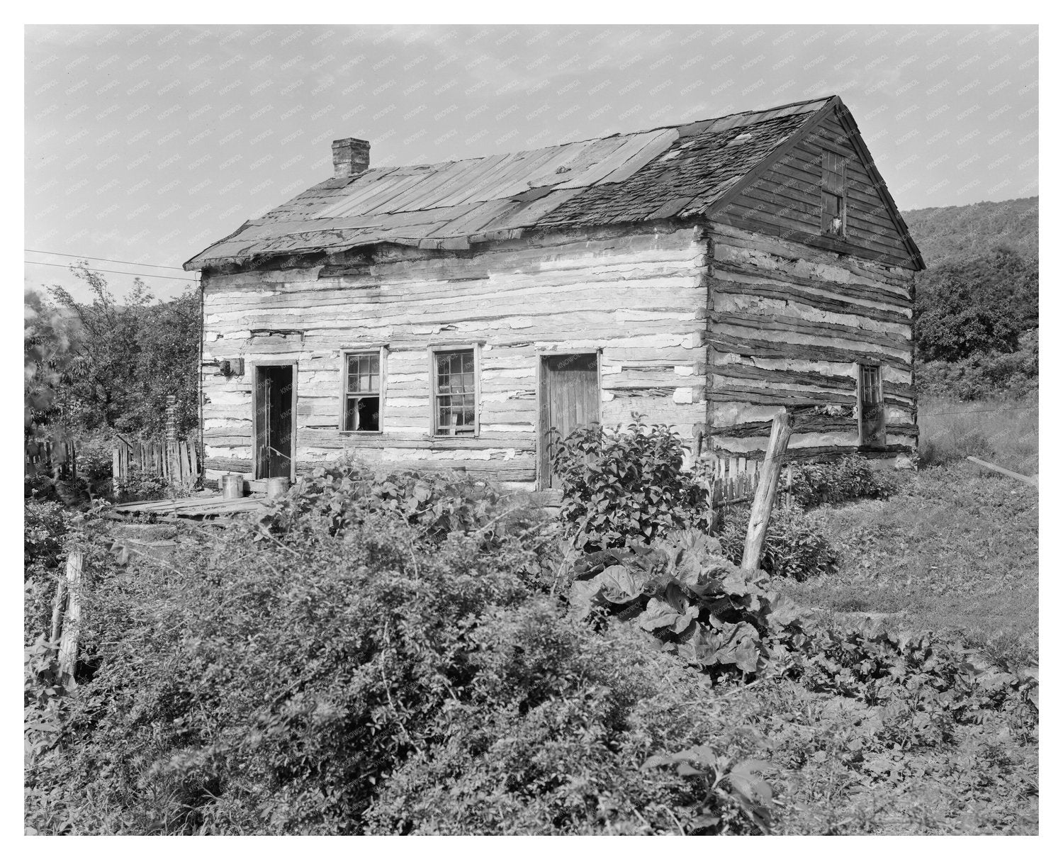 Thurmont MD Rural Scene Early 20th Century Photo