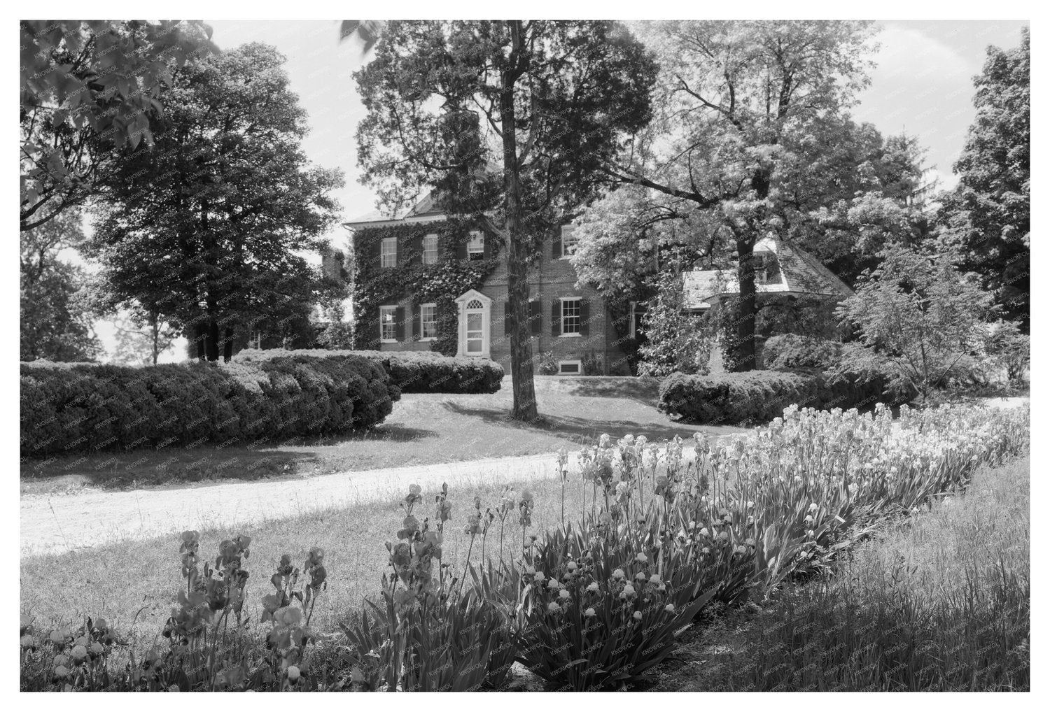 Laurel Manor House, Prince Georges County, MD, Early 1900s