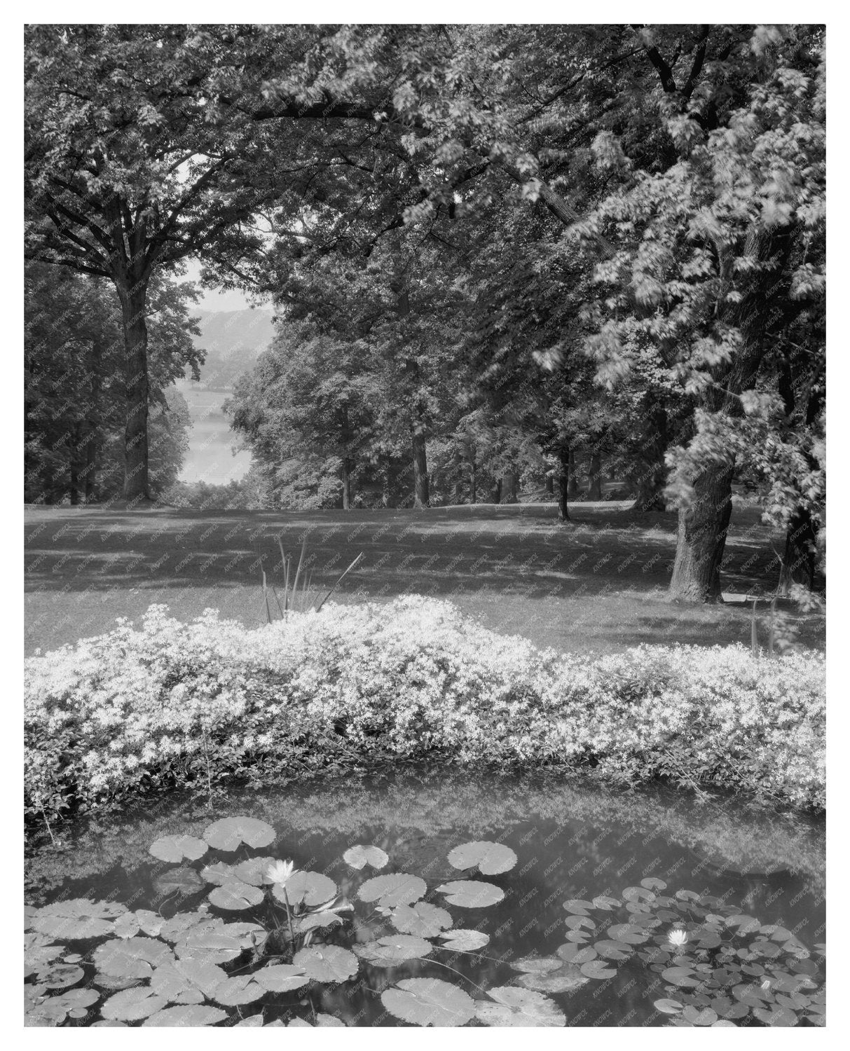 Vintage Baltimore Estate Photo, Maryland, Early 1900s