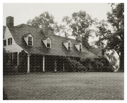 Vintage Baltimore Home Photo, Maryland 1900s