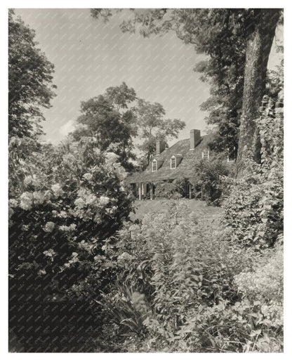 Vintage Baltimore Residence Photo, Maryland, 20th Century