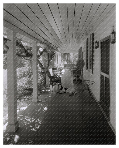 Vintage Baltimore Home Photo, Maryland 20th Century