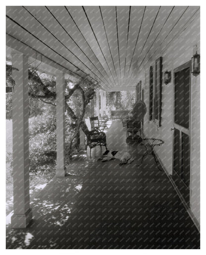 Vintage Baltimore Home Photo, Maryland 20th Century