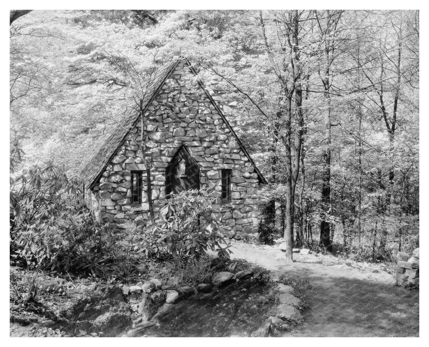 Vintage Gardens in Stevenson, MD - 20th Century Photo