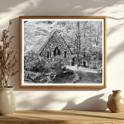 Vintage Gardens in Stevenson, MD - 20th Century Photo