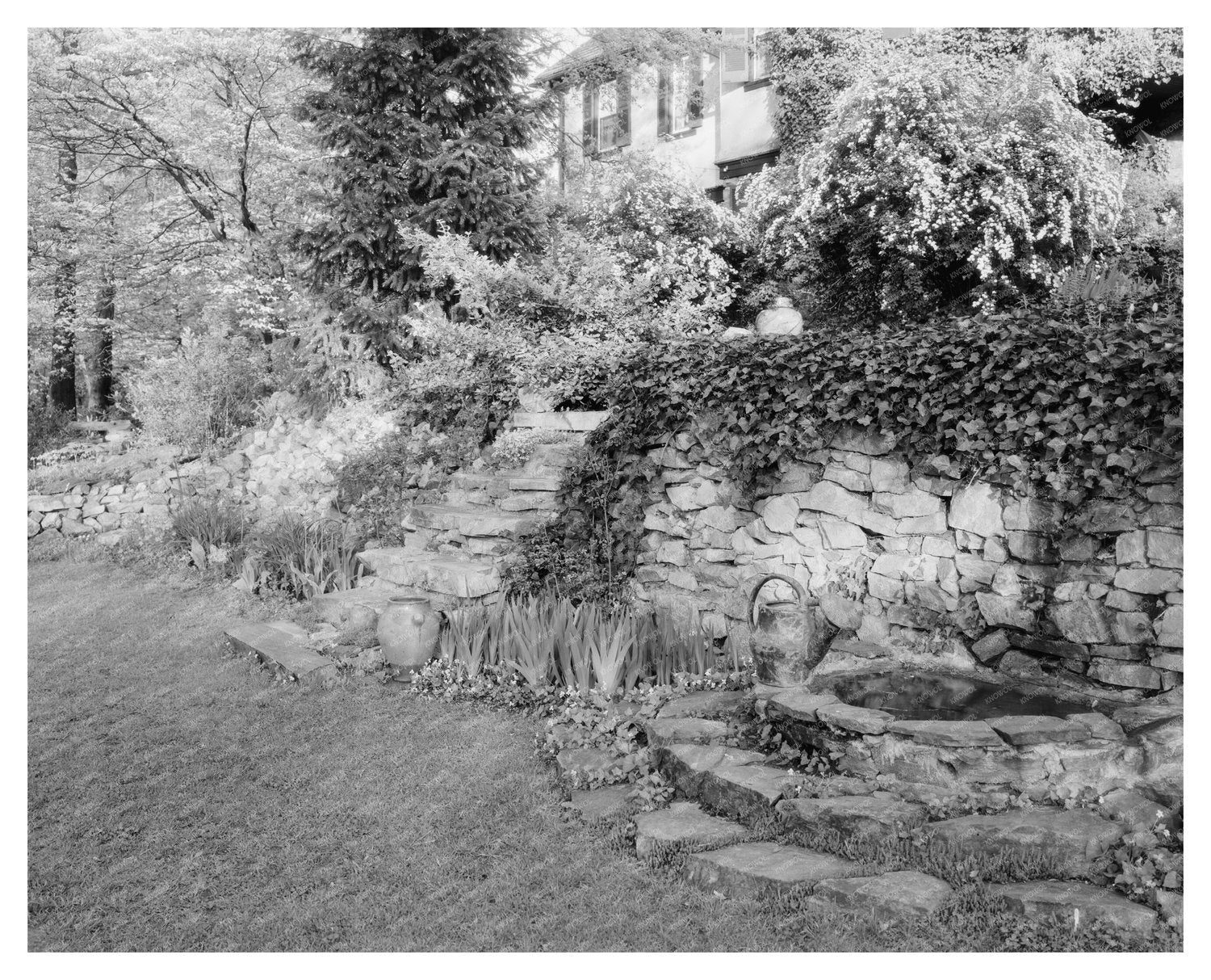 Stevenson MD Garden Scene, Early 1900s Vintage Photo