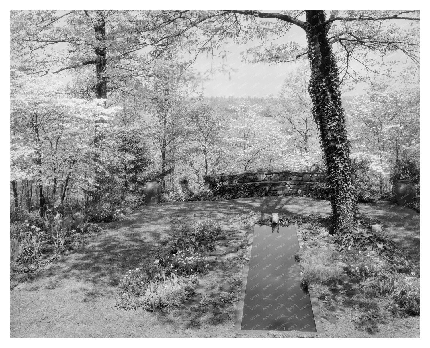 Vintage Garden in Stevenson, MD - 1950s Photograph