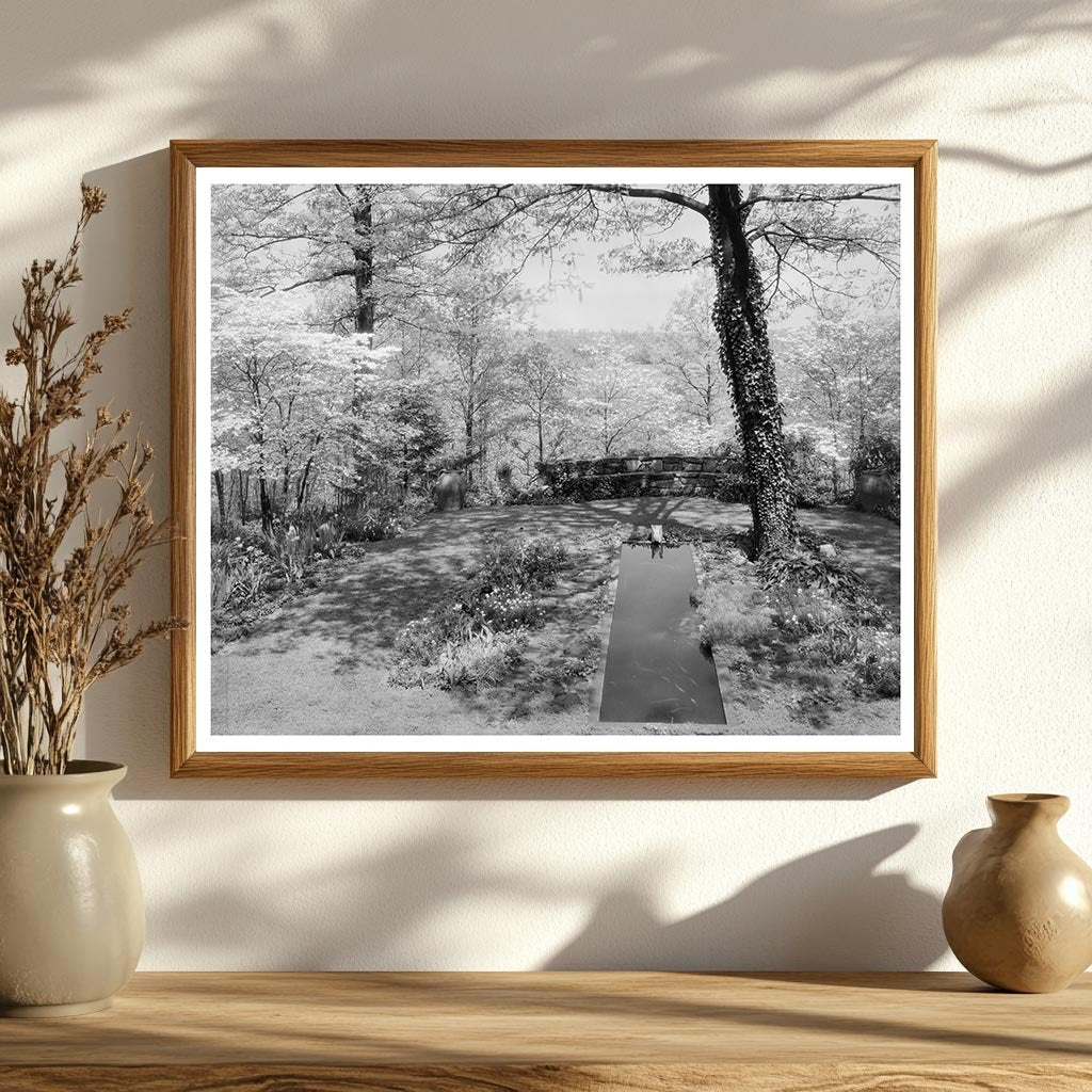 Vintage Garden in Stevenson, MD - 1950s Photograph