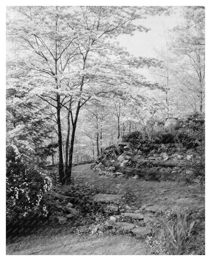 Rock Garden in Stevenson, MD - Early 20th Century Photo