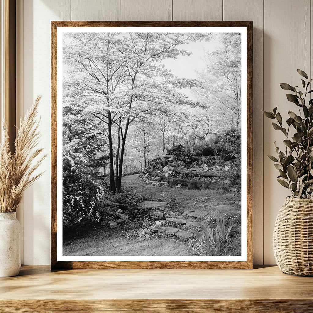 Rock Garden in Stevenson, MD - Early 20th Century Photo