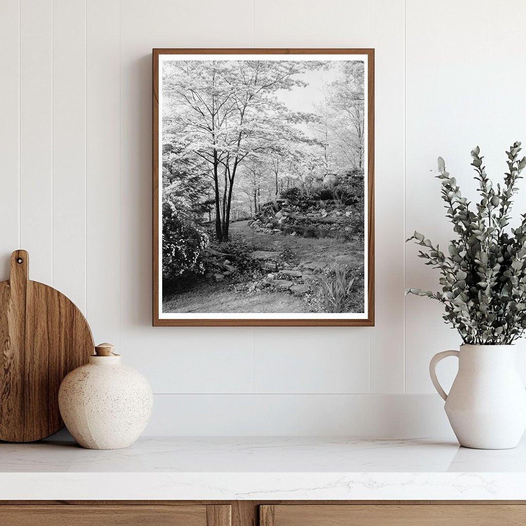 Rock Garden in Stevenson, MD - Early 20th Century Photo