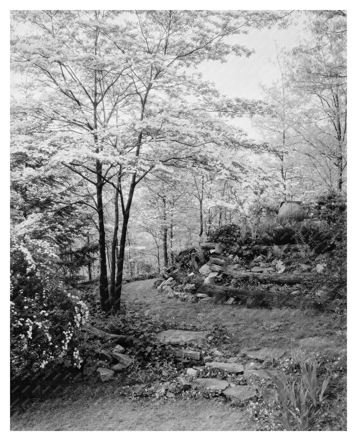 Stevenson MD Rock Garden Photo, Early 20th Century